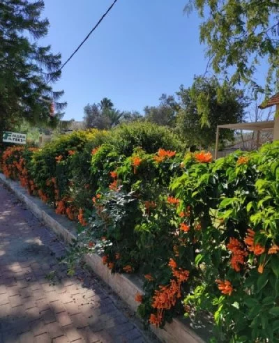 פילבר ציוד מכני הנדסי